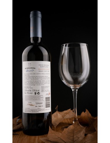 Mingorra Sauvignon Blanc 2020