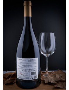 Tiago Cabaço Syrah Magnum 2