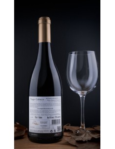 Tiago Cabaço Alicante Bouchet Tinto - Tiago Cabaço 2