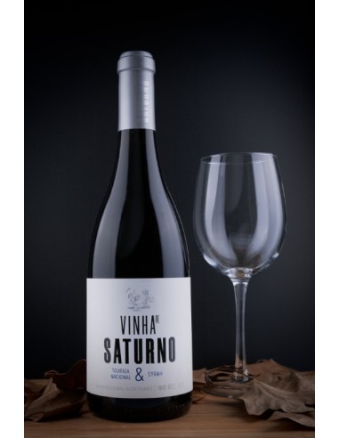 Vineyard of Saturn 2017 Rouge - Monte da Cal