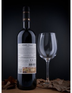 XXVI Tallas del Maestro Daniel Tinto 2019 2