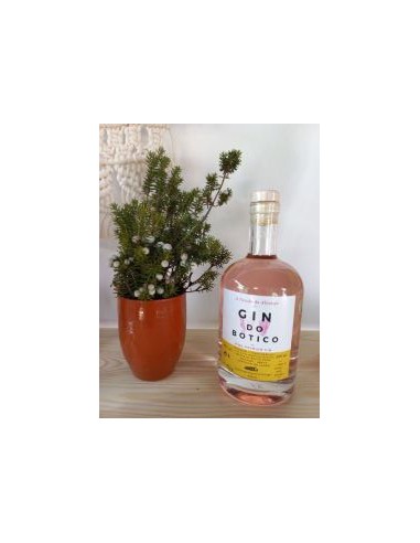Gin do Botico Pink - 500ml - Monte do Botico Velho