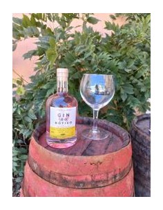 Gin do Botico Pink - 500ml - Monte do Botico 2