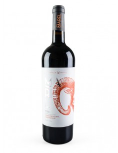 Marel Tinto