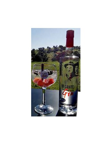 Gin de Medronho O Cante - 700 ml - Museu do...