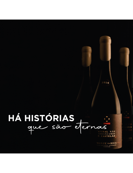 Afinal Não Arrancámos o Castelão  Tinto 2017
