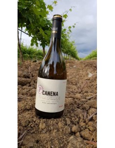 Canena Pisa a Pé Tinto - DOC Alentejo - Quinta da Pigarça