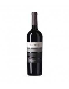 copy of Folha do Meio Colheita Tinto - 2020 Terrenus Veritae