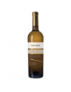 copy of Folha do Meio Colheita Tinto - 2020 Terrenus Veritae