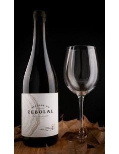 copy of Vigneto della Casa Bianca 2018 - Herdade do Cebolal