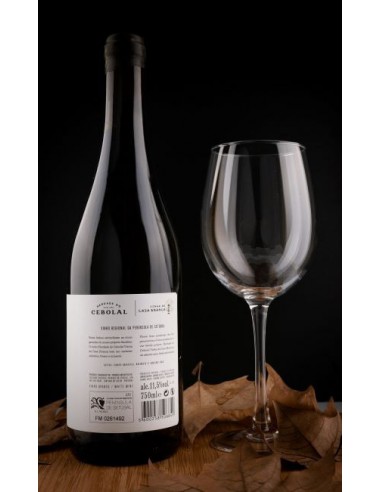 copy of Viñedo Casa Blanca 2018 - Herdade do...