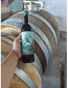 Pégaso Grande Chumbo - Branco - 2023 DOC Alentejo 2