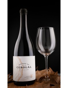 Viñedo Rossio Branco 2016 - Herdade do Cebolal