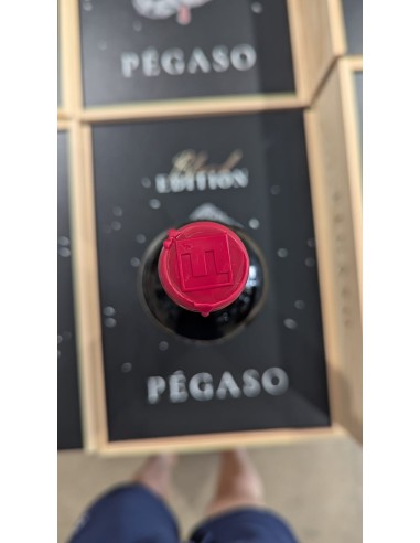 Pégaso Edition