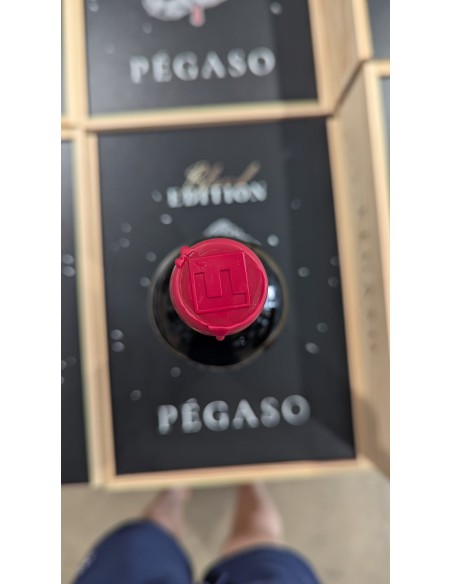 Pégaso Edition